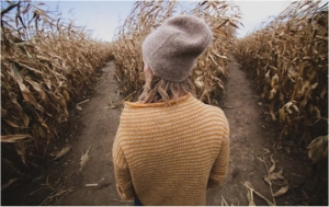 Should You Rent or Buy Your Home?