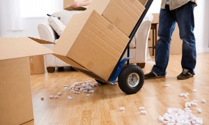 Moving House tips