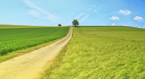 USDA Loans: They’re Not Just for Homes in the Boonies