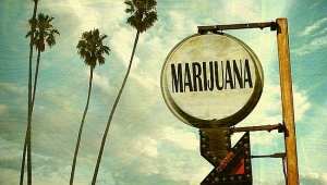 Legalized Marijuana: What It Could Mean For California Real Estate