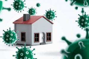 House with Coronavirus