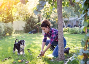 How to Get a Jump on Fall Home Projects