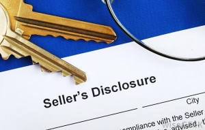 Don't Be Afraid Of The Seller's Disclosure