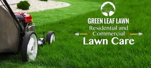 Things You Must Know About Lawn Care Services and Lawn Management