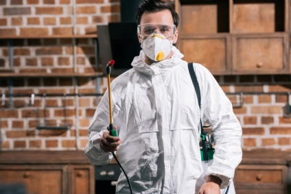 Health Risks Associated With Pest Infestations