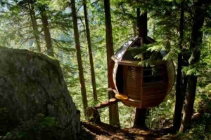 10 Stunning Luxury Treehouses You Must See