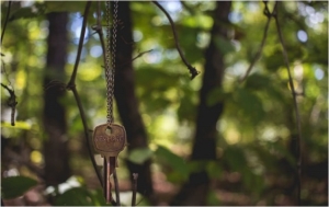 Things You Can Do to Become More Eco-Friendly