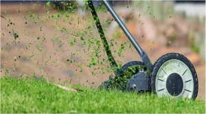 Why Price Shouldn’t Be the Only Driver in the Search for Your First Home