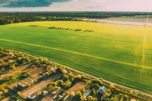 What Is an Acre of Land Worth in 2026? New State-by-State Data Shows Wide Price Gaps