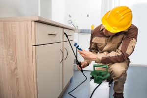 The 10 Best DIY Eco-Friendly Pest Control Treatments