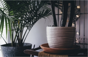 The Best Ways to Improve Your Air Quality and Ward off the Coronavirus