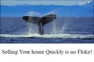 Home Not SOLD-Why Not?