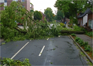 Seven Steps for Spring Storm Preparedness