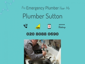 Life of Plumber Sutton - The Debate Over Plumber Sutton