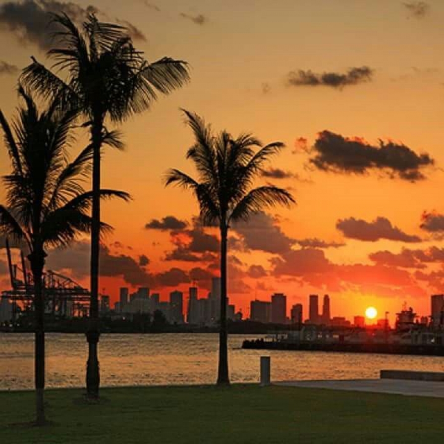 Downtown Miami at Sunset