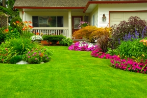 10 Ways to Enhance Curb Appeal for Under $100
