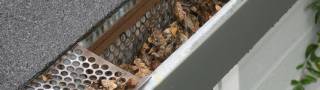5 Home Maintenance Tasks You Should Complete This Spring in New Orleans