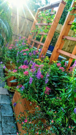 Backyard Do it yourself flower planters