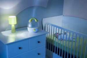 How to Avoid a Dry Environment in Your Home