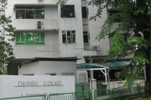 Fyve Derbyshire Showflat 61008160