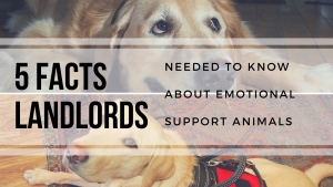 5 Facts Landlords Need To Know About Emotional Support Animals