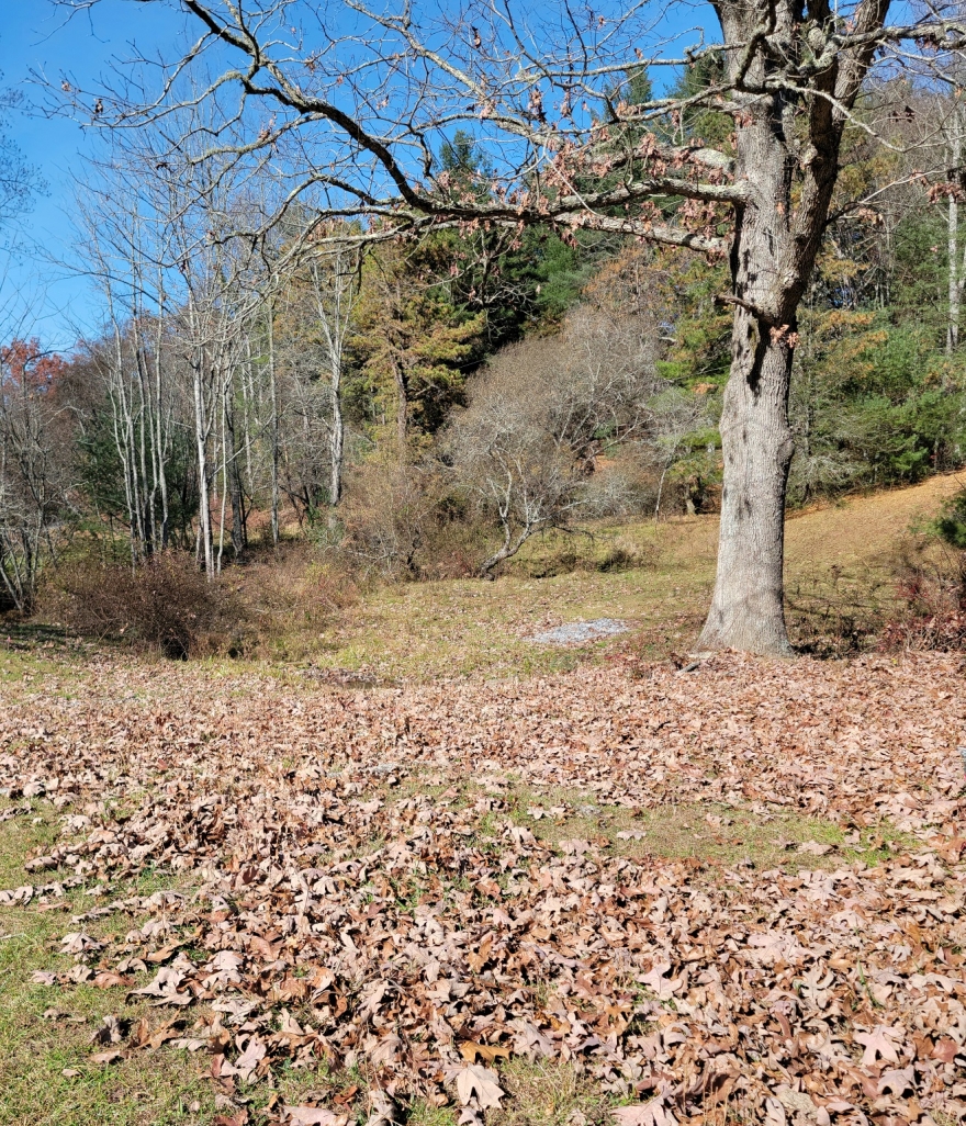 Historic $6.752 Million Land Sale is Highest-Priced in Henderson County
