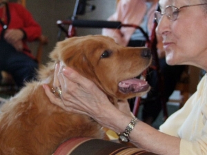 No Pets Allowed: What About A Protective Dog?