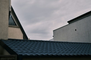 How Professional Roofing Contractors Protect Your Home Investment