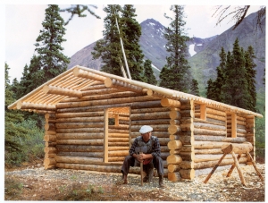 A Cheap Mountain Getaway - Build Your Own Log Cabin