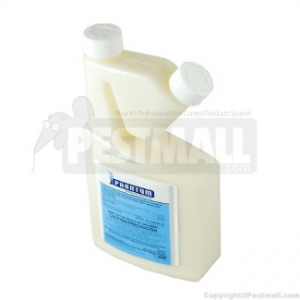 Most Effective Termite Treatment Methods