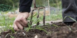 Tips to Spruce Up Your Garden When Selling Your House