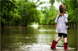 Will the New Congress Compromise on Flood Insurance or Are We All Going Under?