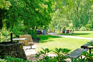 The New Definition Of The Community Park