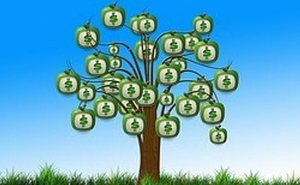 Picture Perfect Reserves In Your HOA