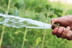 8 Doable Ways to Save Water at Home