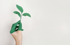 5 Eco-Friendly Home Trends to Follow This Year