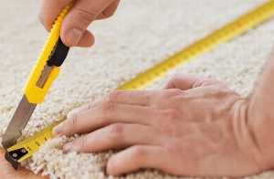 Don't Recarpet Your Home Before Reading This