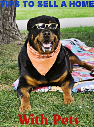 Home Sale With Pets